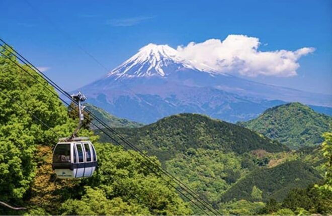 Tokyo: Mt Fuji and Hakone Full Day Private Tour - Inclusions of the Tour Package