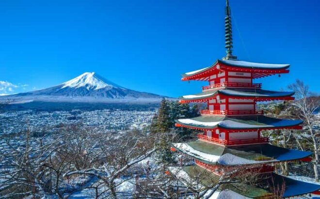 Tokyo: Mt Fuji and Hakone Full Day Private Tour - Restrictions and Important Notes