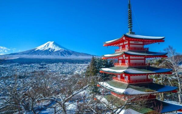 Tokyo: Mt Fuji and Hakone Full Day Private Tour - Scenic Views and Attractions