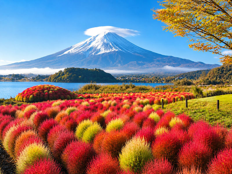 Tokyo: Mt. Fuji, Arakurayama Sengen Park, Oishi Park, Oshino Hakkai - Lunch choices and what they mean