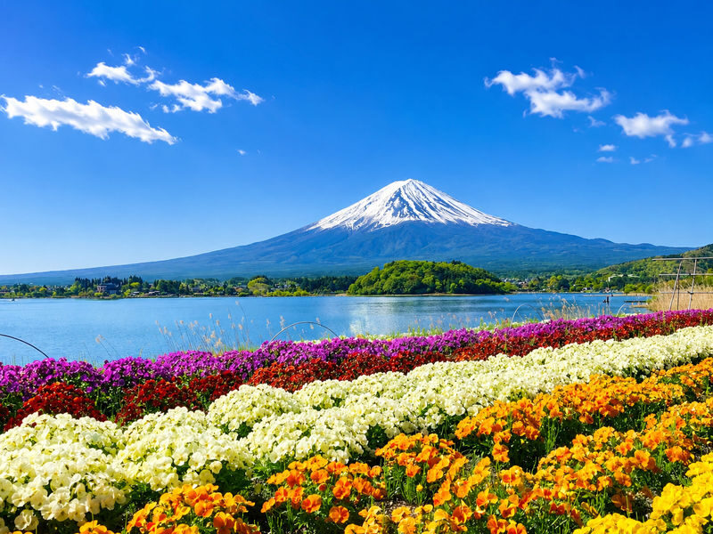 Tokyo: Mt. Fuji, Arakurayama Sengen Park, Oishi Park, Oshino Hakkai - Practical details before you book