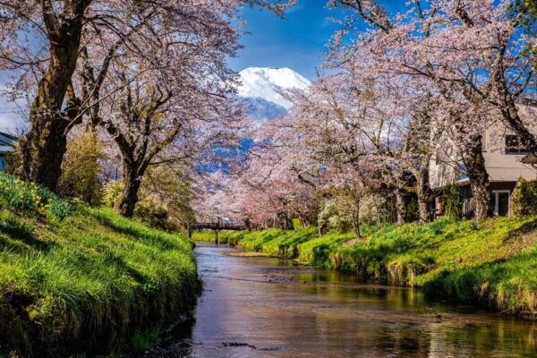 Tokyo: Mt. Fuji, Arakurayama Sengen Park, Oshino Hakkai Tour - What to Bring