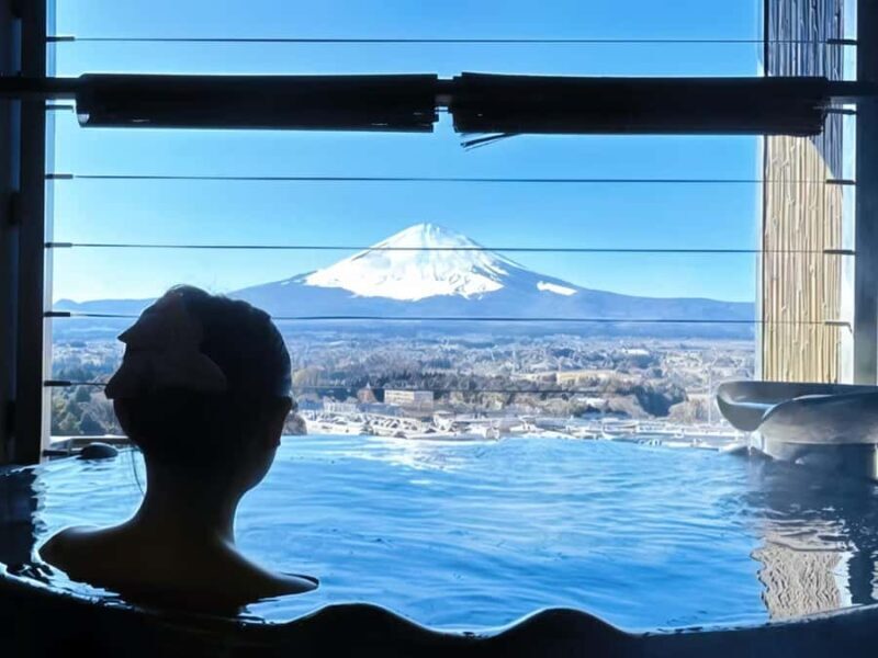 Tokyo: Mt. Fuji Cherry Blossom DayTrip & Yamanaka Hot Spring - A Deep Dive into the Tour Experience