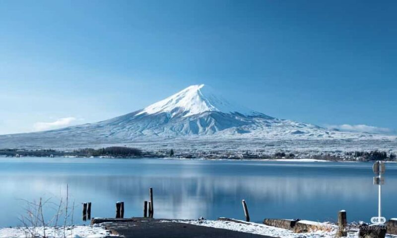 Tokyo: Mt. Fuji Cherry Blossom DayTrip & Yamanaka Hot Spring - What Does the Tour Really Offer?