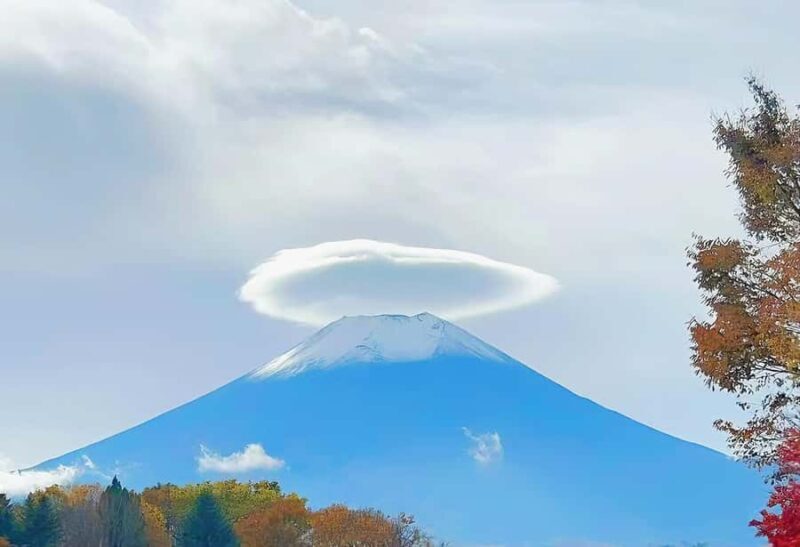 Tokyo: Mt. Fuji Cherry Blossom DayTrip & Yamanaka Hot Spring - A Deep Dive Into the Experience