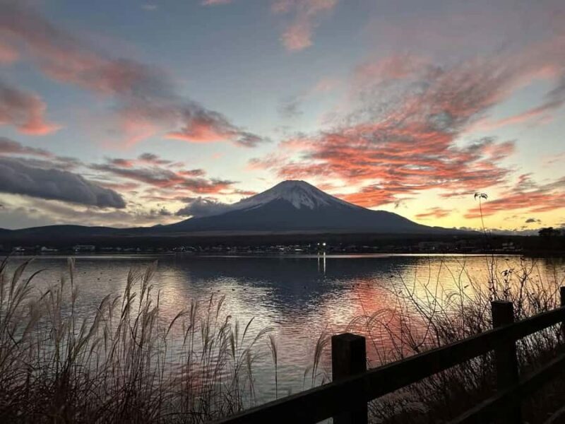 Tokyo: Mt. Fuji Cherry Blossom DayTrip & Yamanaka Hot Spring - FAQs