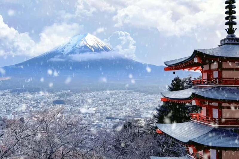 Tokyo: Mt Fuji Chureito Pagoda Lake Kawaguchi&Oshino Hakkai - An Inside Look at the Experience
