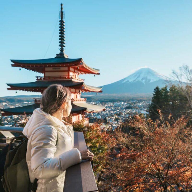 Tokyo: Mt Fuji Customizable Private Tour By English Driver - Final Thoughts
