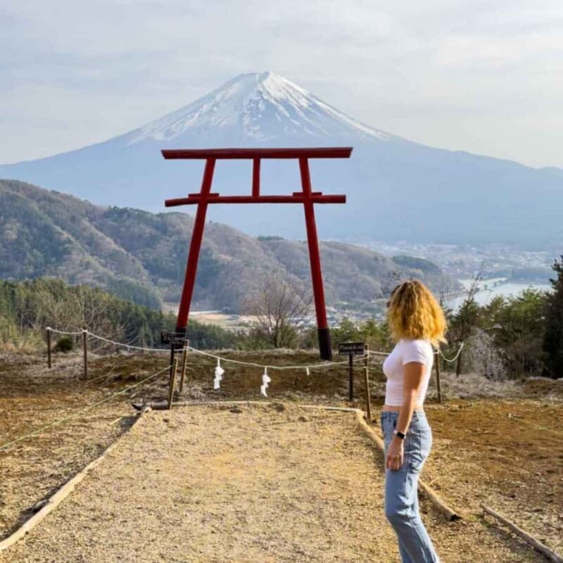 Tokyo: Mt Fuji Customizable Private Tour By English Driver - What Some Travelers Say