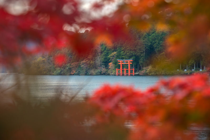 Tokyo: Mt Fuji & Hakone 6 Spots Tour w/ Bullet Train - Six stops, one long day