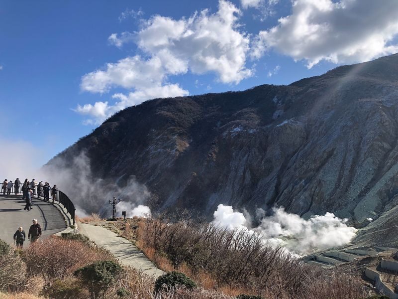 Tokyo: Mt Fuji & Hakone 6 Spots Tour w/ Bullet Train - Owakudani’s volcanic valley