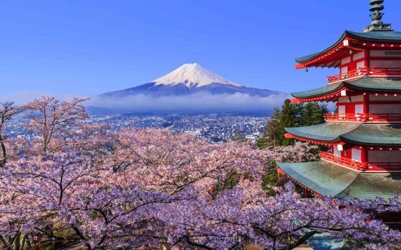 Tokyo: Mt. Fuji & Hakone Cherry Blossoms Private Day Tour - Practical Tips