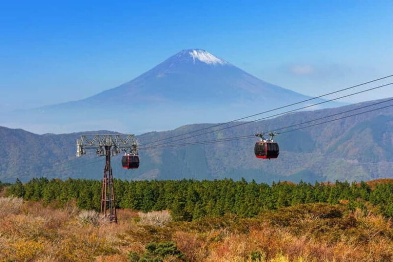 Tokyo: Mt. Fuji & Hakone, FREE Pirate Ship & Ropeway - The Bottom Line