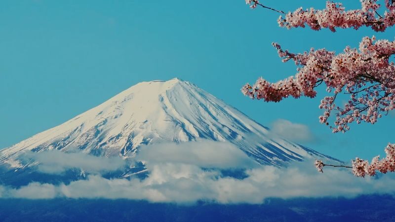 Tokyo Mt. Fuji & Hakone Full-Day Cruise Tour - A full day built around Hakone and Fuji