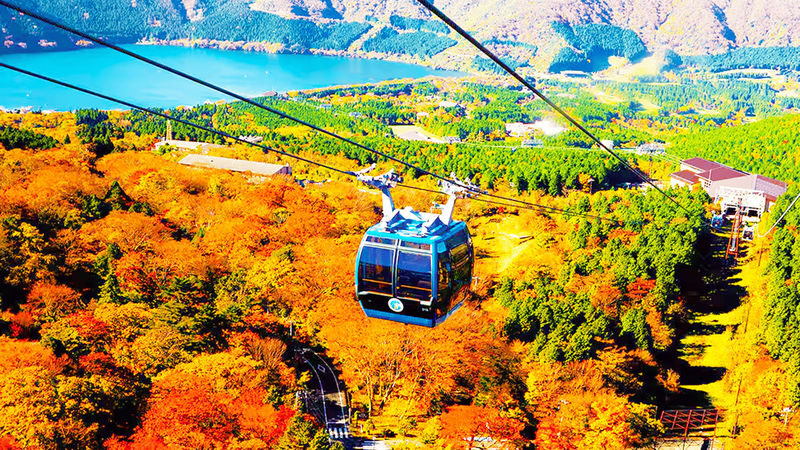 Tokyo Mt. Fuji & Hakone Full-Day Cruise Tour - A cruise puts Hakone on the water