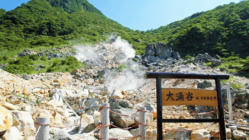 Tokyo Mt. Fuji & Hakone Full-Day Cruise Tour - Mount Fuji is a bonus, not a booking guarantee