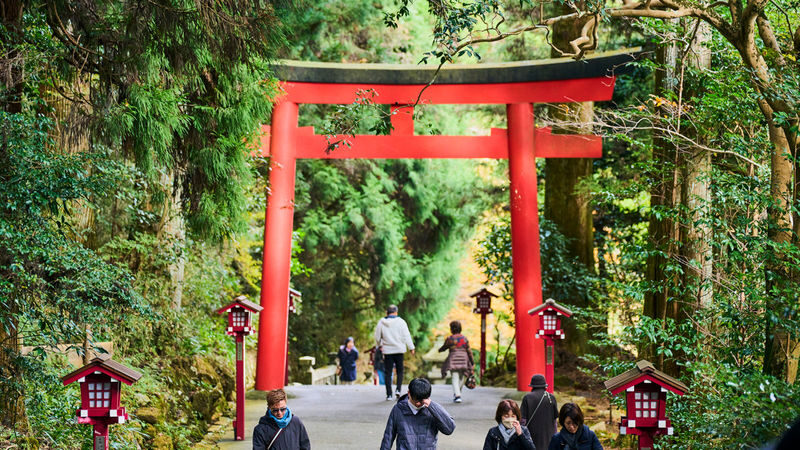 Tokyo Mt. Fuji & Hakone Full-Day Cruise Tour - Guides can shape the day