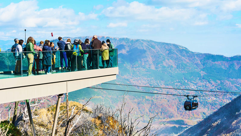 Tokyo Mt. Fuji & Hakone Full-Day Cruise Tour - Who will get the most from this tour