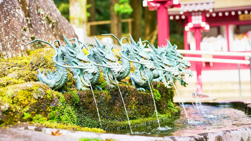 Tokyo Mt. Fuji & Hakone Full-Day Cruise Tour - Should you book the Hakone day?
