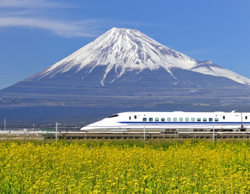 Tokyo Mt. Fuji & Hakone Full-Day Guided Tour - A full circuit from Tokyo, with little room to linger