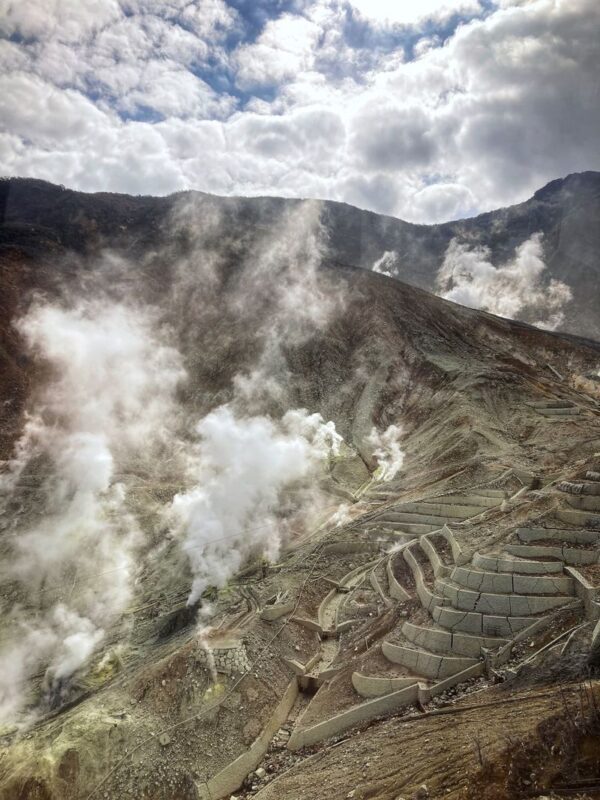Tokyo Mt. Fuji & Hakone Full-Day Guided Tour - Should you book this Fuji and Hakone tour?