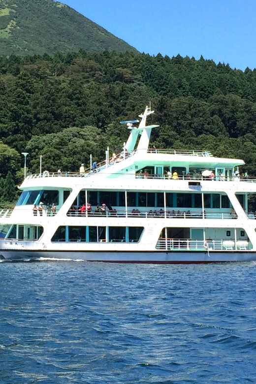 Tokyo: Mt. Fuji, Hakone, Lake Ashi Cruise and Bullet Train - Who Is This Tour Best For?