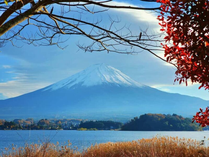 Tokyo: Mt Fuji, Hakone & Lake Ashi Day Trip - Who Should Book This Tour?