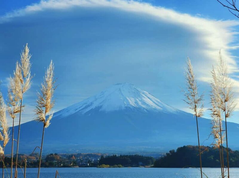 Tokyo: Mt Fuji, Hakone & Lake Ashi Day Trip - FAQ