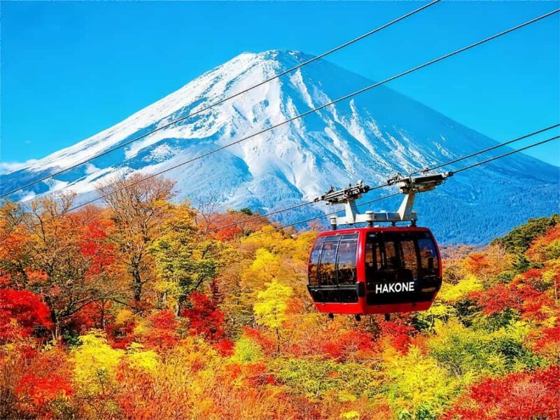 Tokyo: Mt Fuji & Hakone Ninja Cruises & Ropeway Tour - An In-Depth Look at the Tour Experience