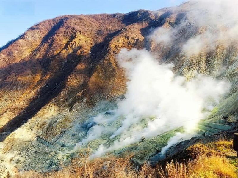 Tokyo: Mt Fuji & Hakone Ninja Cruises & Ropeway Tour - The Sum Up