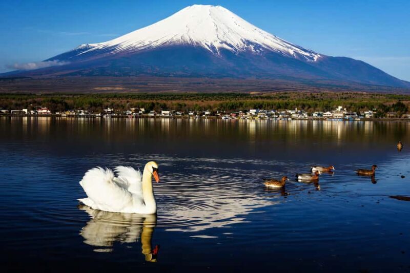 Tokyo: Mt Fuji & Hakone Ninja Cruises & Ropeway Tour - FAQ