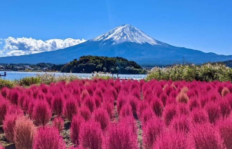 Tokyo: Mt. Fuji & Hakone One-Day Private Tour - FAQ