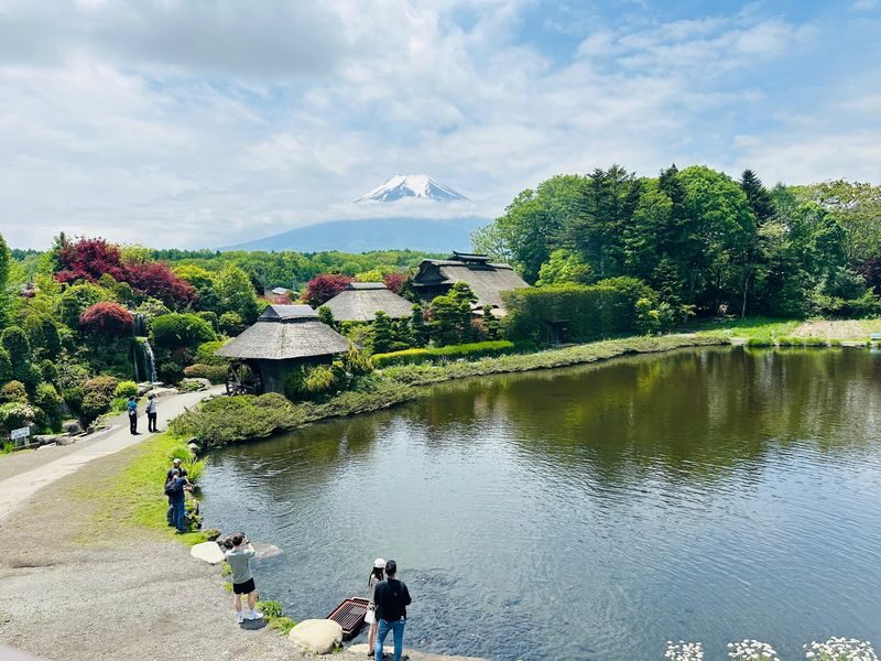 Tokyo Mt. Fuji & Hakone Private Customizable Day Tour - Key points to know before booking