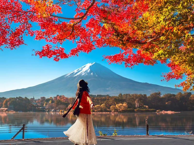 Tokyo Mt. Fuji & Hakone Private Customizable Day Tour - A private day, not a fixed sightseeing circuit