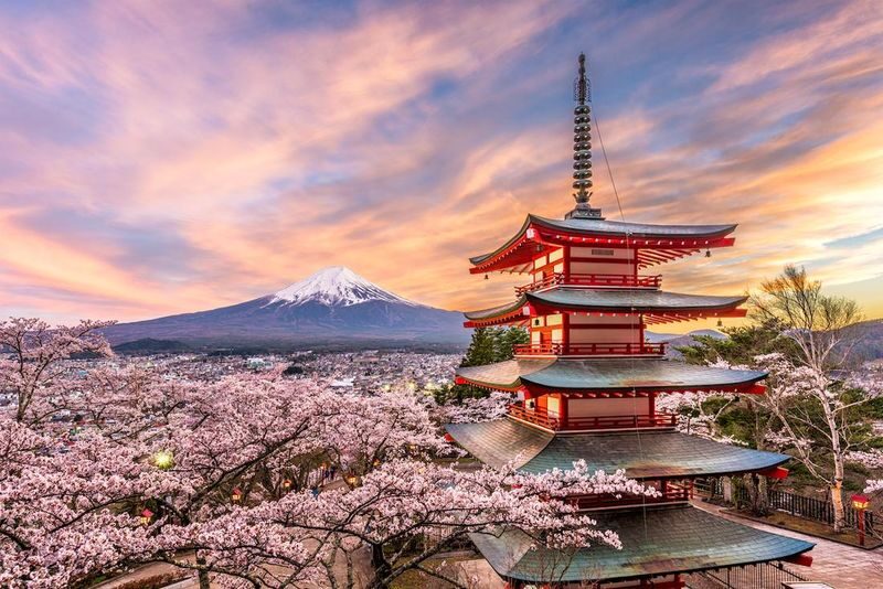 Tokyo Mt. Fuji & Hakone Private Customizable Day Tour - Hakone has a different rhythm