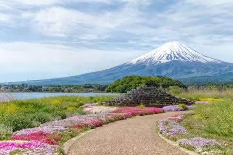 Tokyo Mt. Fuji & Hakone Private Customizable Day Tour - The driver may shape the day more than the car