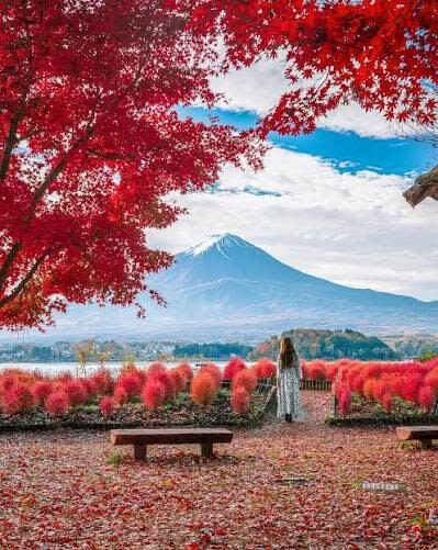 Tokyo Mt. Fuji & Hakone Private Customizable Day Tour - Price, vehicle, and the real value