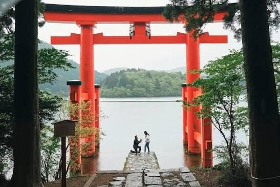 Tokyo Mt. Fuji & Hakone Private Customizable Day Tour - Who should book this private tour