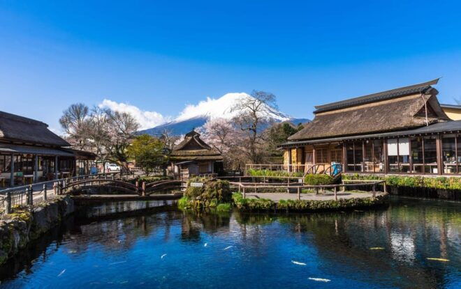 Tokyo: MT FUJI & HAKONE Private Sightseeing Tour - Key Attractions