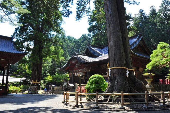 Tokyo: MT FUJI & HAKONE Private Sightseeing Tour - Inclusions and Exclusions