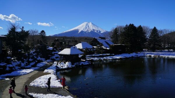 Tokyo: MT FUJI & HAKONE Private Sightseeing Tour - Customer Reviews