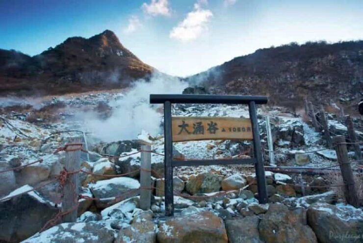 Tokyo Mt.Fuji Hakone Ropeway, and Oshino Hakkai Day Tour - Good To Know