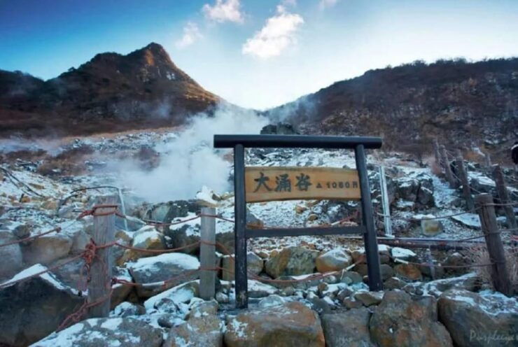 Tokyo Mt.Fuji Hakone Ropeway, and Oshino Hakkai Day Tour - Itinerary and Highlights