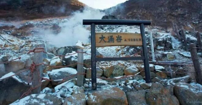 Tokyo Mt.Fuji Hakone Ropeway, and Oshino Hakkai Day Tour - Transportation and Accessibility