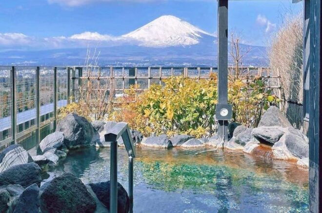 Tokyo Mt.Fuji Hakone Ropeway, and Oshino Hakkai Day Tour - Tour Guide and Language