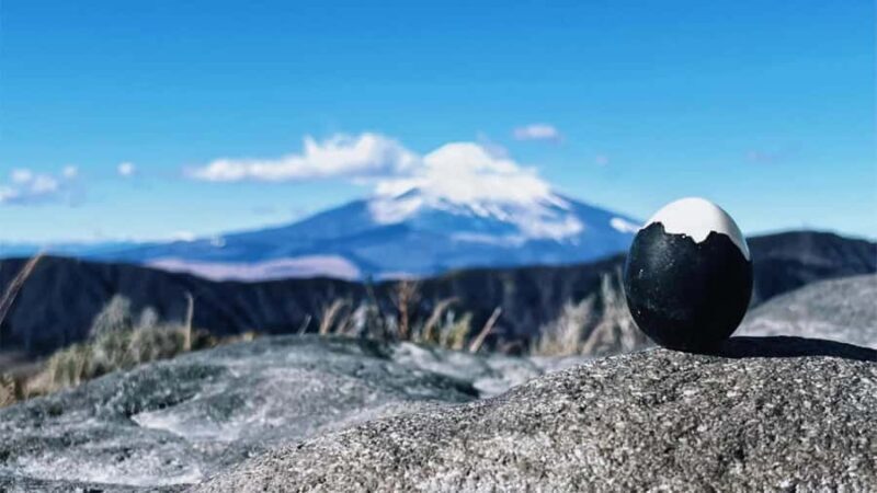 Tokyo: Mt. Fuji, Hakone Ropeway, Owakudani & Lake Ashi Tour - The Sum Up: Who Will Love This Tour?