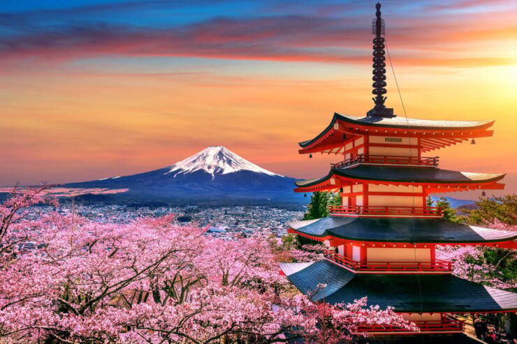Tokyo: Mt. Fuji & Hakone Tour With English Speaking Driver. - Good To Know
