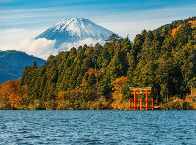 Tokyo: Mt. Fuji & Hakone Tour With English Speaking Driver. - Mt. Fuji Experience