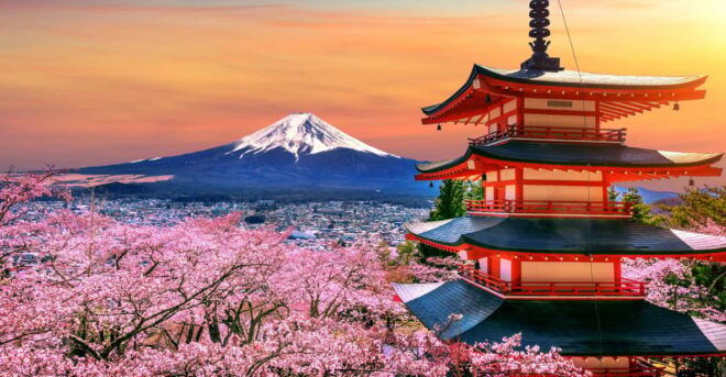 Tokyo: Mt. Fuji & Hakone Tour With English Speaking Driver. - Cultural Stops and Sightseeing