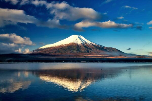 Tokyo: Mt. Fuji & Hakone Tour With English Speaking Driver. - Transportation and Amenities
